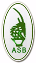 AS Bamako