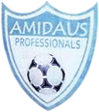 Amidaus Professionals